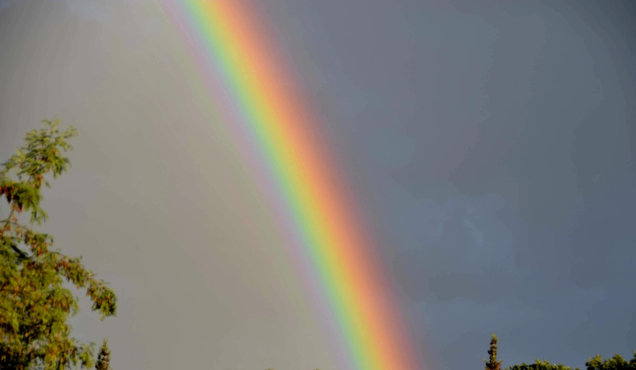 Regenbogen (c) Thomas P. Fößel Regenbogen