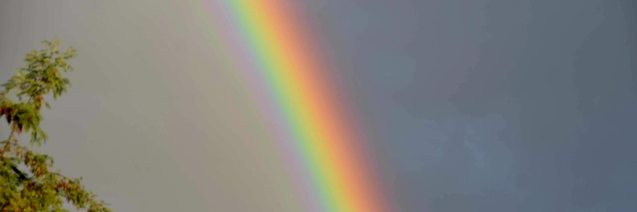 Regenbogen