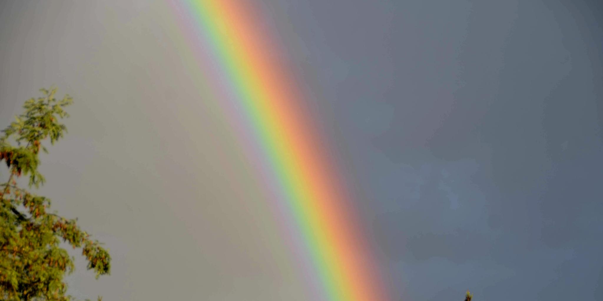 Regenbogen