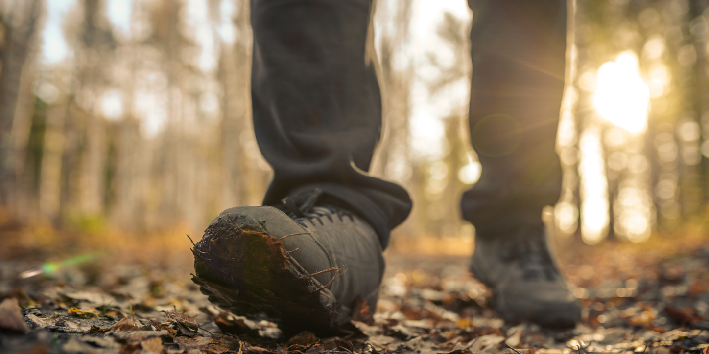 Bild Wandertag Männer