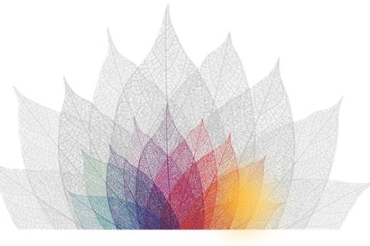 Blätterrosette sw   bunt