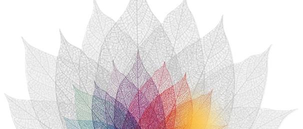 Blätterrosette sw bunt (c) nn Blätterrosette sw bunt