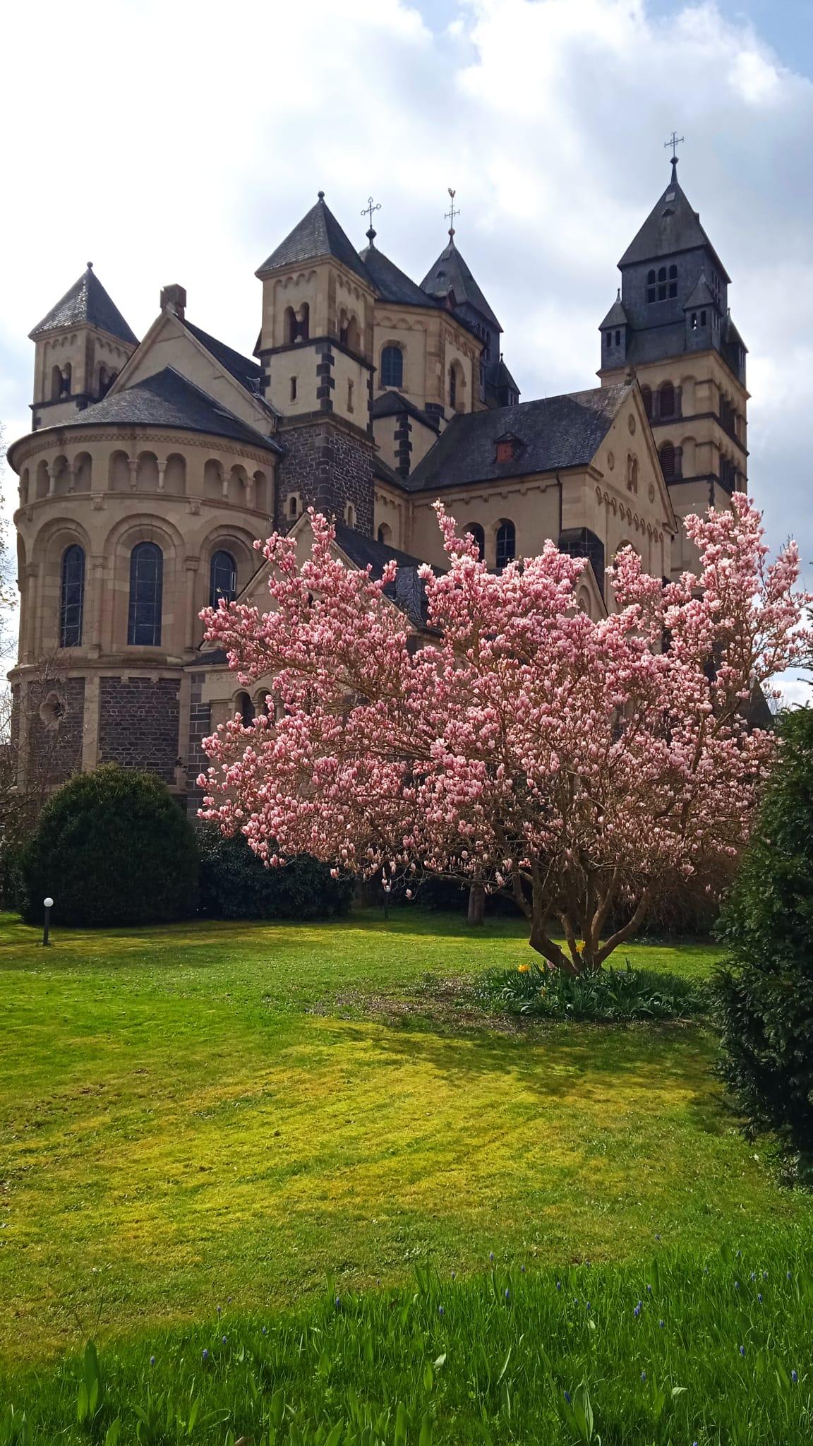 Ansicht Herz Jesu Kirche Mayen