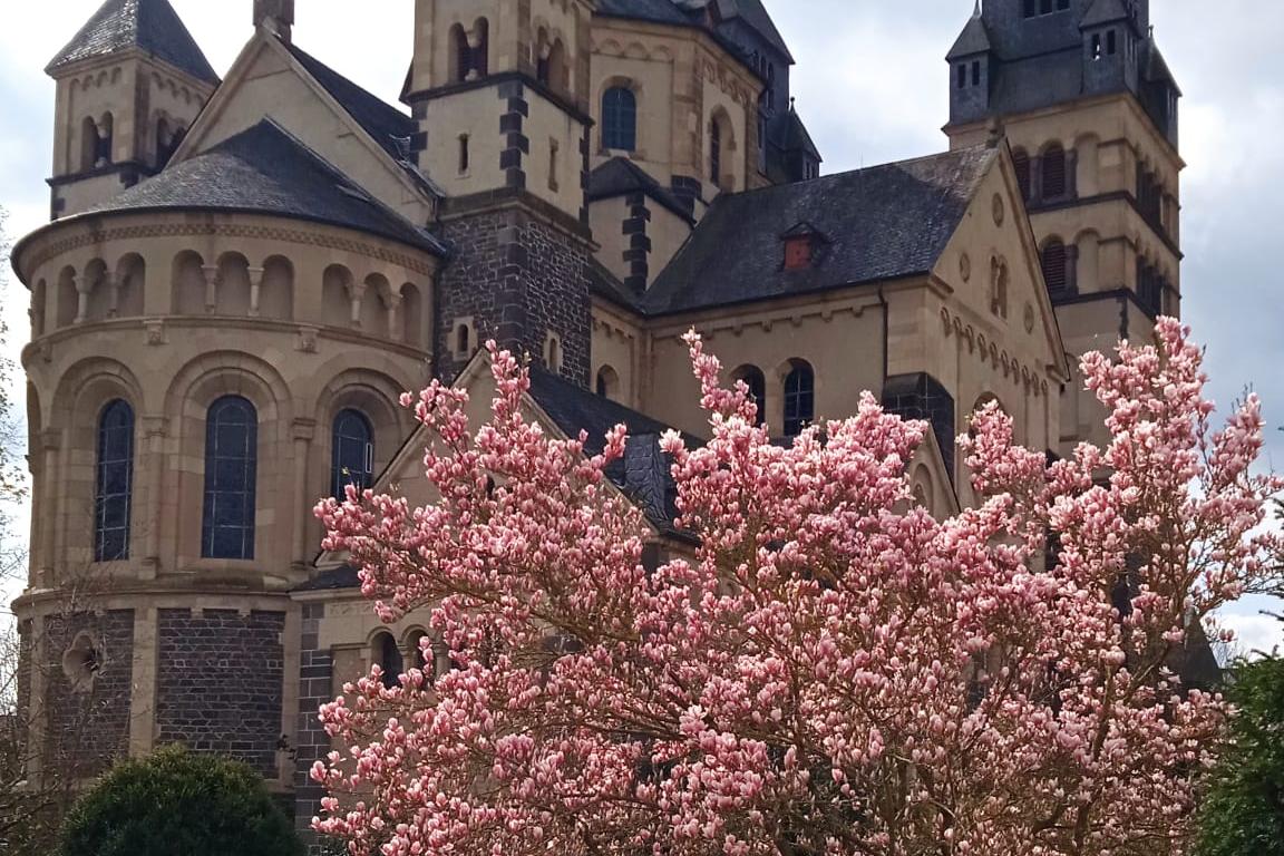 Ansicht Herz Jesu Kirche Mayen