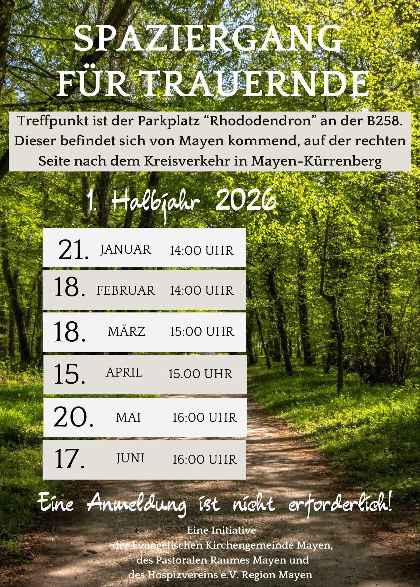 Spaziergänge f. Trauernde (21.6 x 30.2 cm)