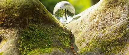 glass-sphere-7482038_640 (c) kay auf Pixabay glass-sphere-7482038_640