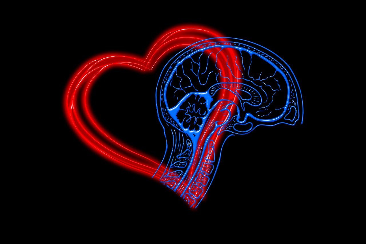 heart-4682756_1280