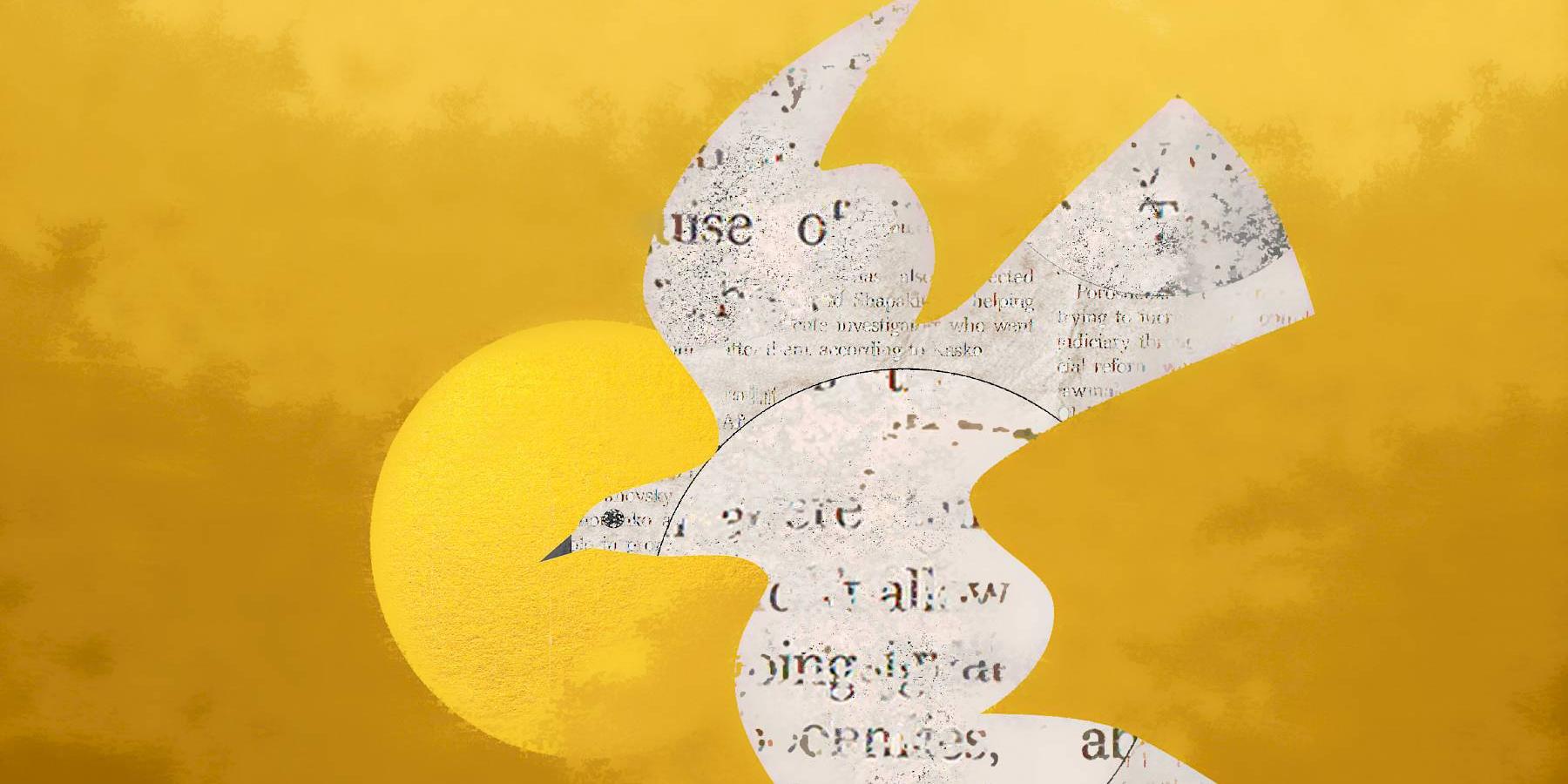 taube-cover-novene2020-margret-russer-3x2.1800x0